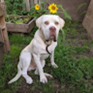 Meet your Posher, Jeffrey t